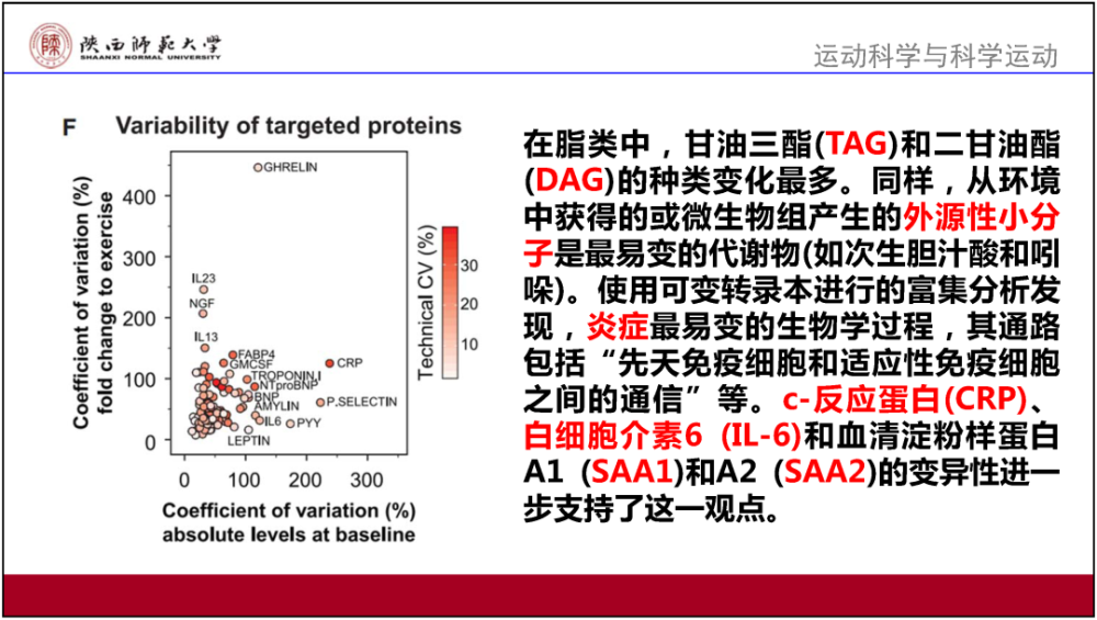 2024香港正版资料大全视频_机构预测解释落实方法_标配版D1.5.66