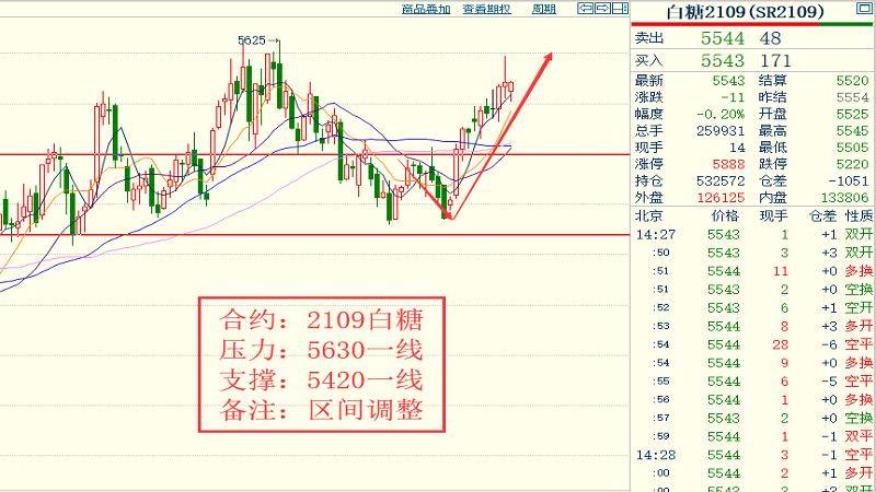 2024今晚香港开特马开什么_专业解答实行问题_完整版P5.4.72