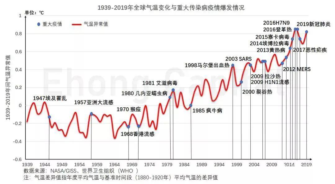 2004新澳精准资料免费提供_预测分析解释落实_潮流版U8.7.26