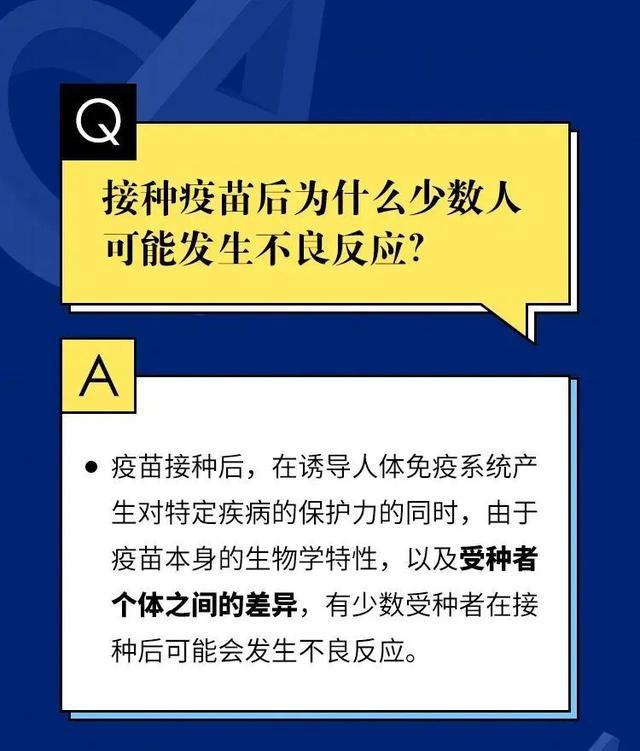 2024澳门天天六开好彩,权威方案解答解析解释_伙伴集Y36.313