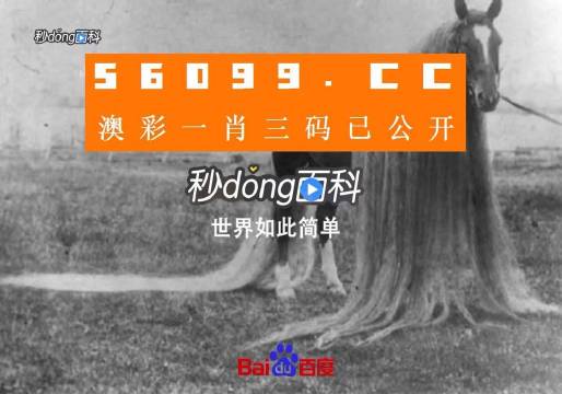 澳门一肖一码一必中一肖同舟前进,实地验证方案策略_桌面款C93.860