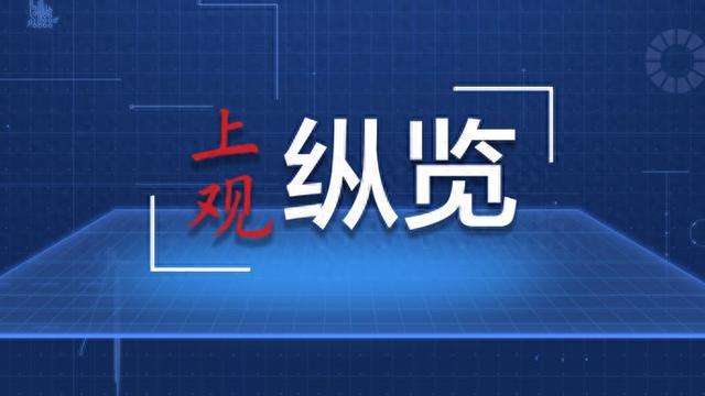 新澳门今晚开奖结果开奖2024,精准解答解释落实_直播版C44.742