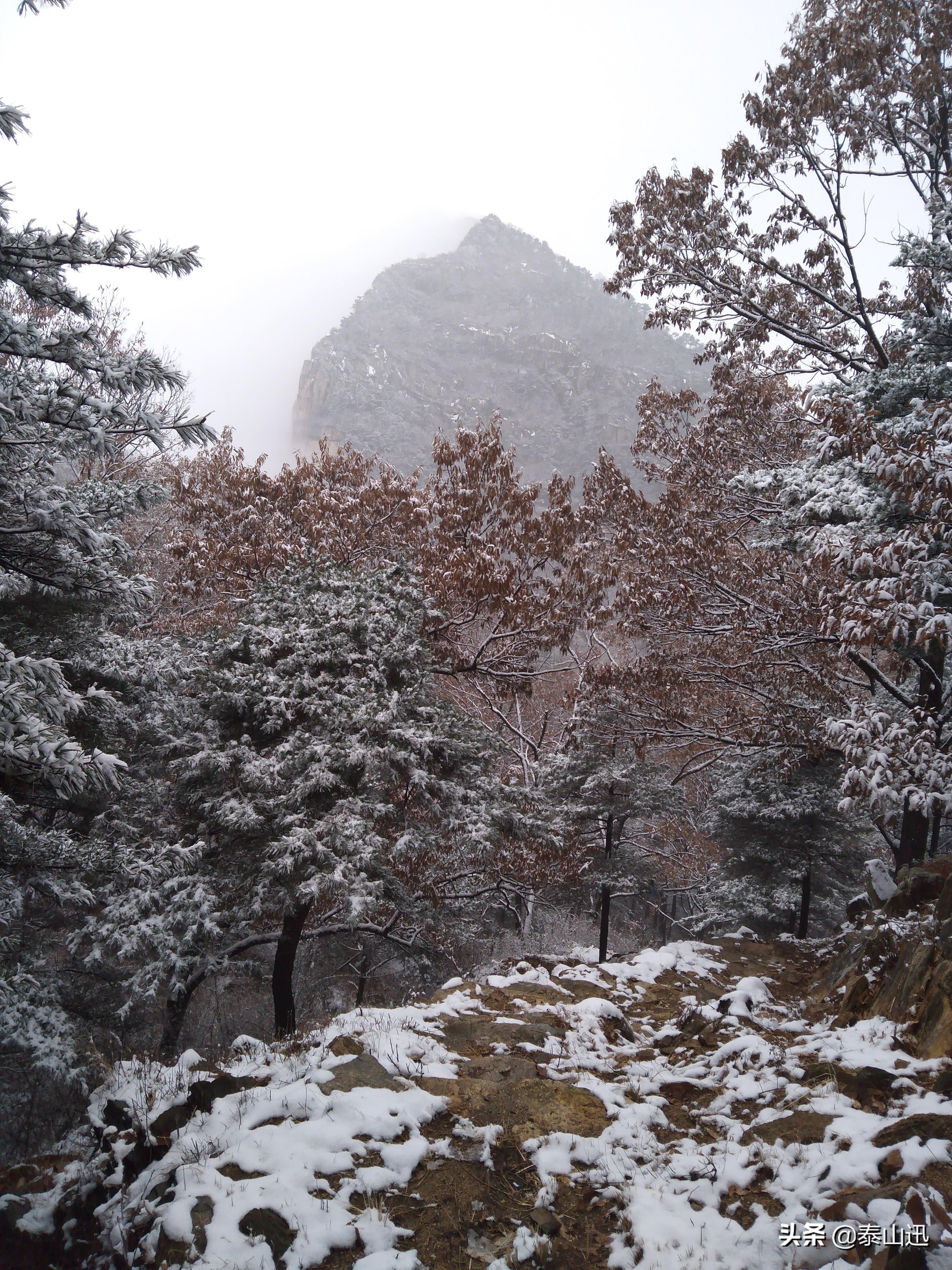 泰山迎今冬第一场降雪,泰山迎来冬日初雪