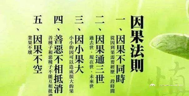 因果报应受害女孩名字原型,因果循环致害的小女孩命名来源