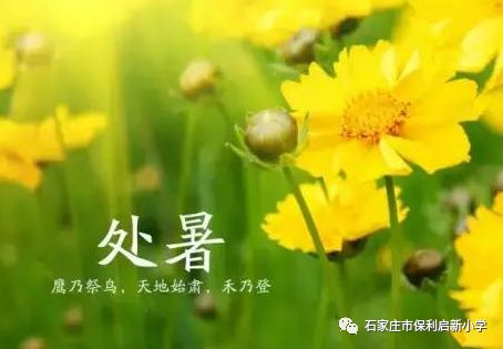 处暑,秋意渐浓的“处暑时节”。