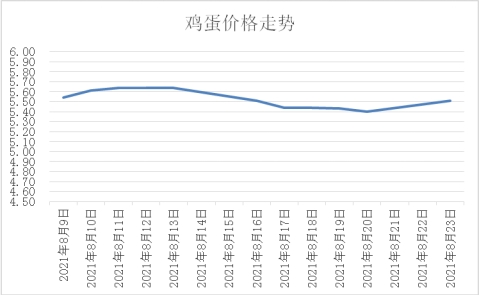 鸡蛋现货最新价格,今日鸡蛋现货市场报价再创新高。