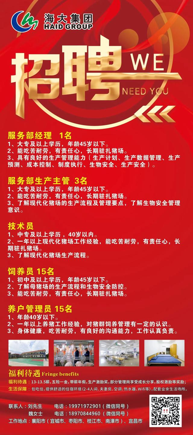 鸡西哪里最新急招工,鸡西多地正火热招募急需人才。