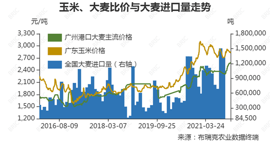 江苏大麦价格最新行情,江苏地区大麦价格呈上涨态势。