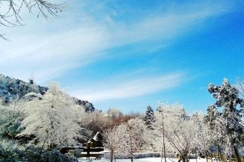 北京灵山今冬初雪,北京灵山迎来冬日首场雪