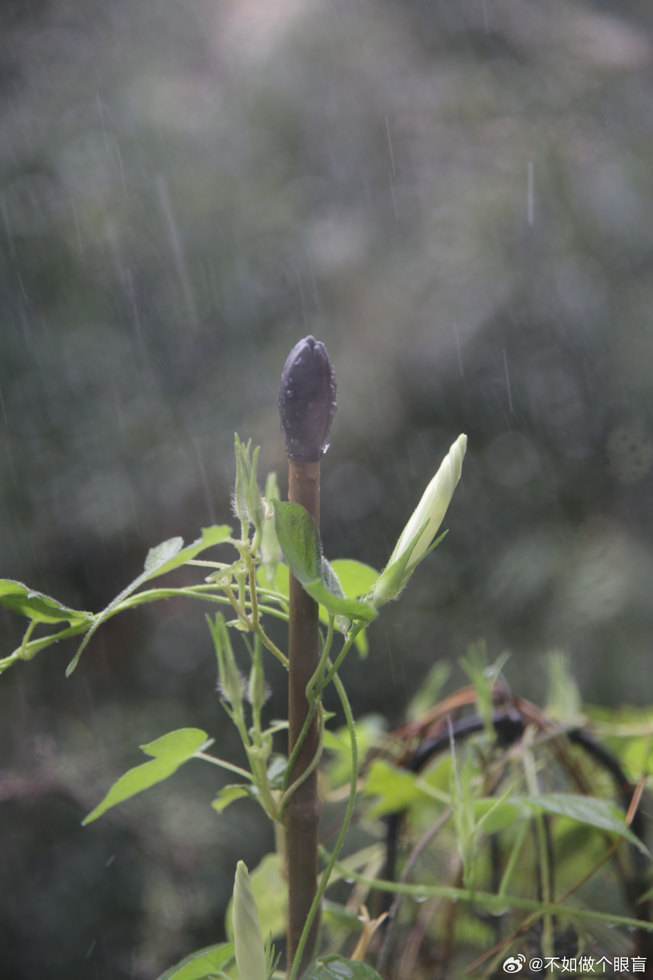 瑟雨最新,雨后春笋般涌现的瑟雨最新动态。