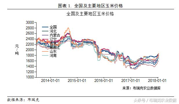 今日山东玉米价格最新行情,山东玉米市场迎来最新波动，价格行情备受关注。