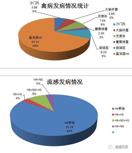 禽流感最新消息人数,最新禽流感疫情实时追踪，感染人数持续更新。