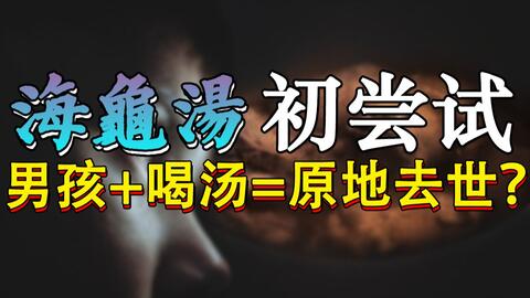 海龟汤最新,海龟汤最新资讯，热点动态不容错过。