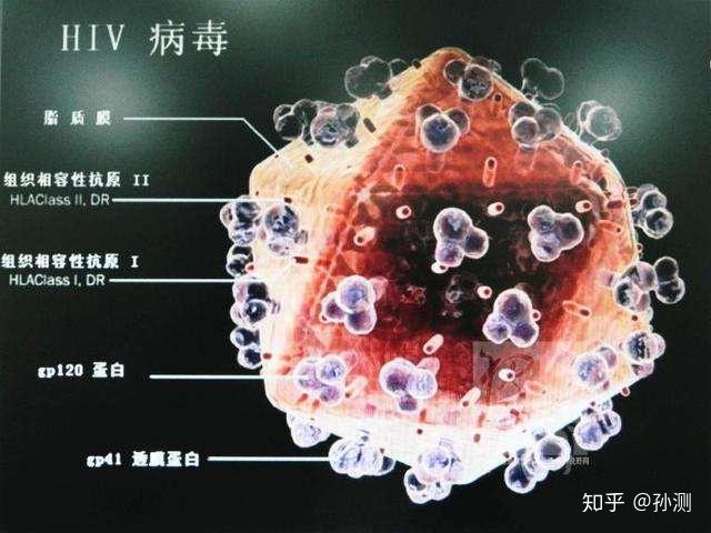 星河长明_2 第2页