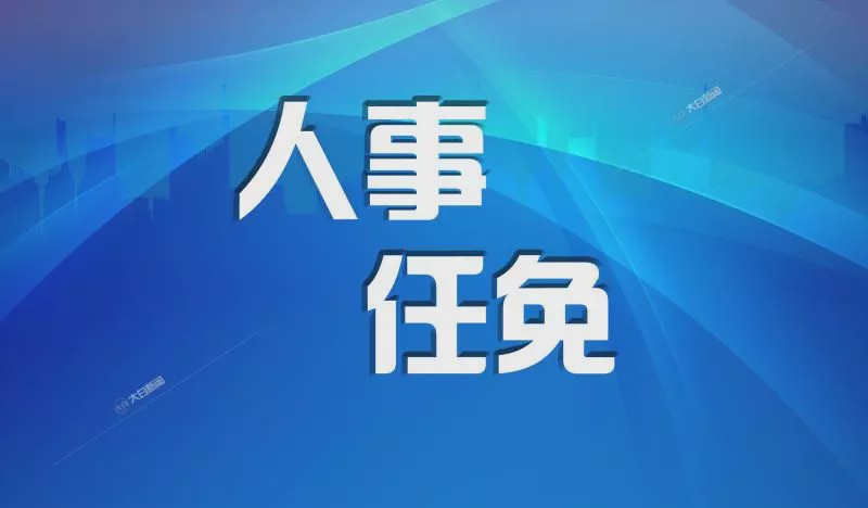 最新湛江干部任前公示,湛江干部选拔迎来最新公示，聚焦新任领导风采。