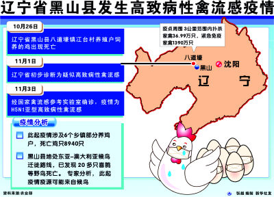 大连禽流感最新消息,大连最新禽流感疫情动态通报。