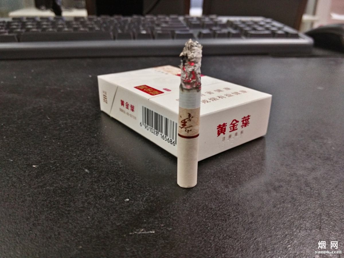 墨色年华旧影 第2页