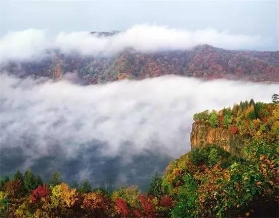 地震最新消息今天吉林,今日吉林地震最新动态发布。