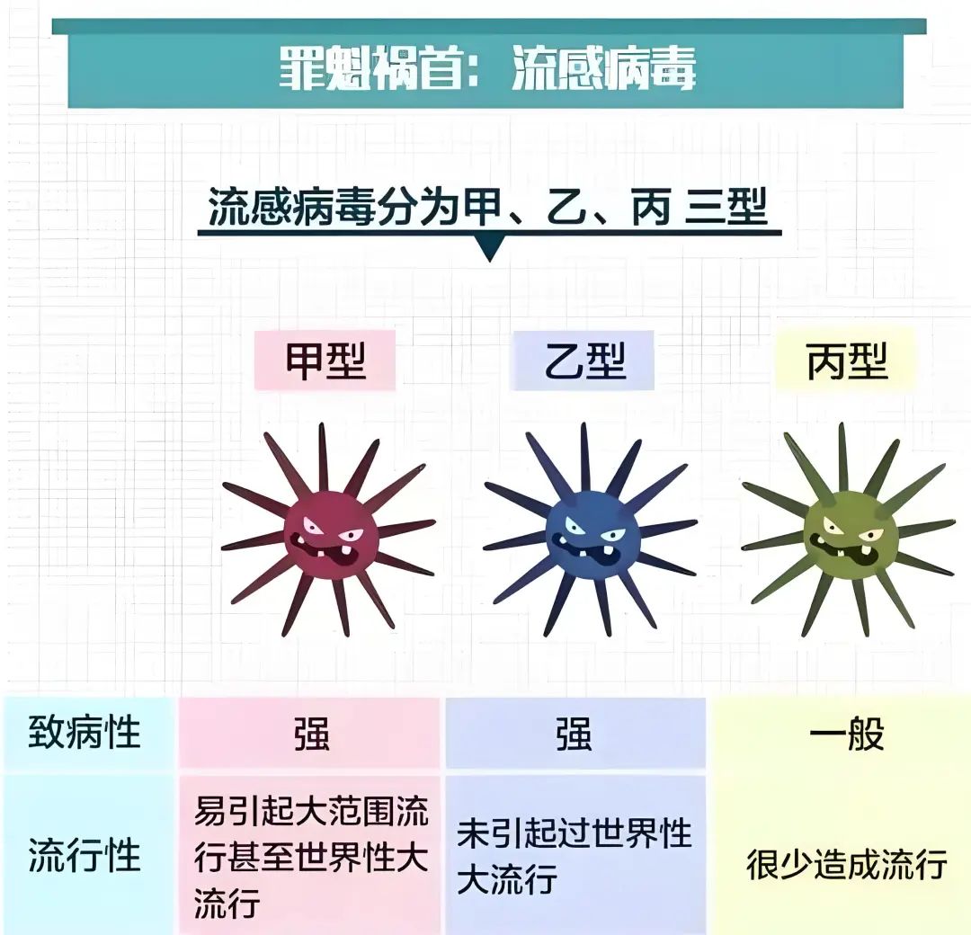 最新流感病毒2017,2017年崭新流感病毒型引发关注。