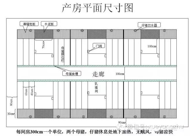 北方最新猪舍建造图,最新北方猪舍设计图解