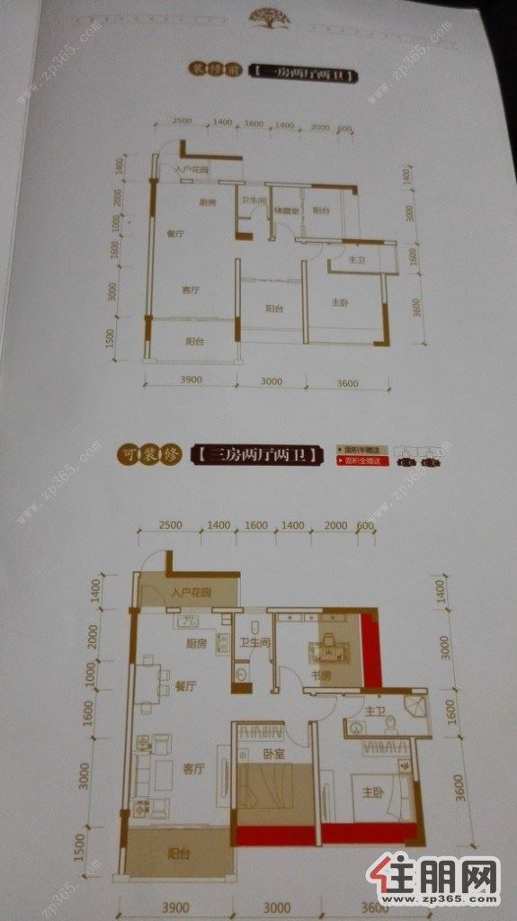 柳州正和城最新动态,柳州正和城最新资讯速递