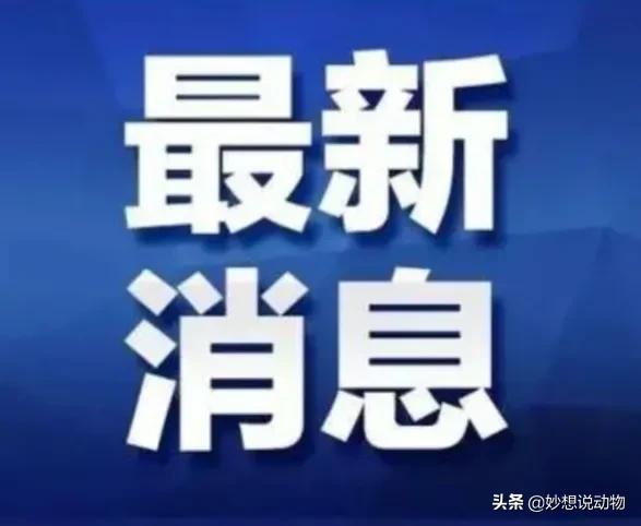 安康百事通最新消息,安康资讯速递