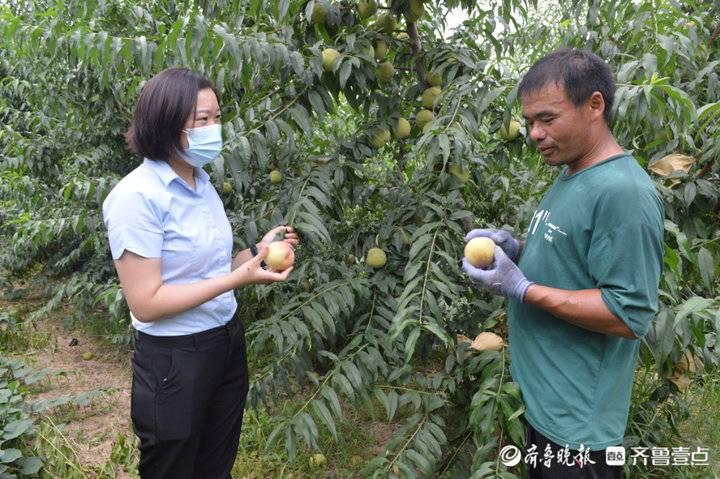 菏泽沙土镇最新大事,菏泽沙土镇近期重大新闻