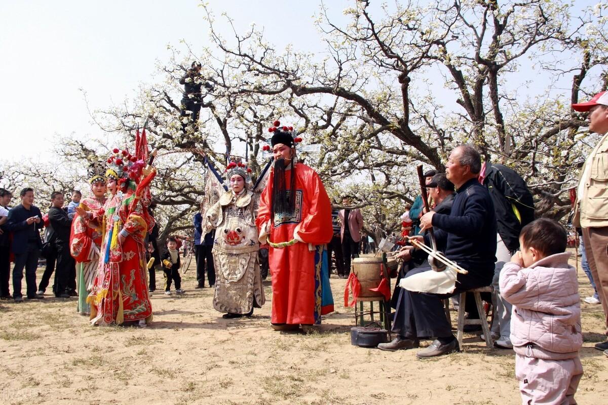 砀山通用机场最新消息：砀山机场最新动态