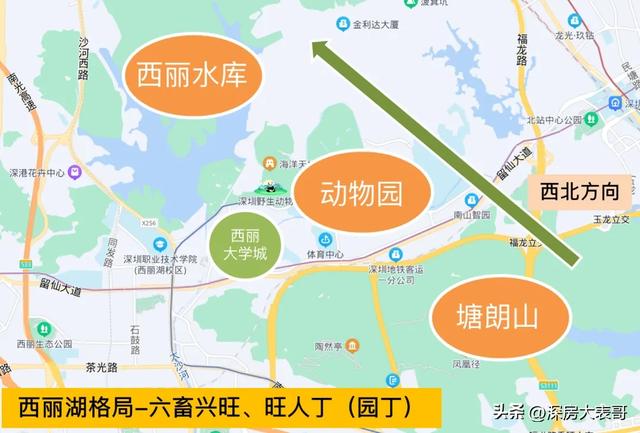 深圳西丽房价最新消息：深圳西丽区楼市动态速递