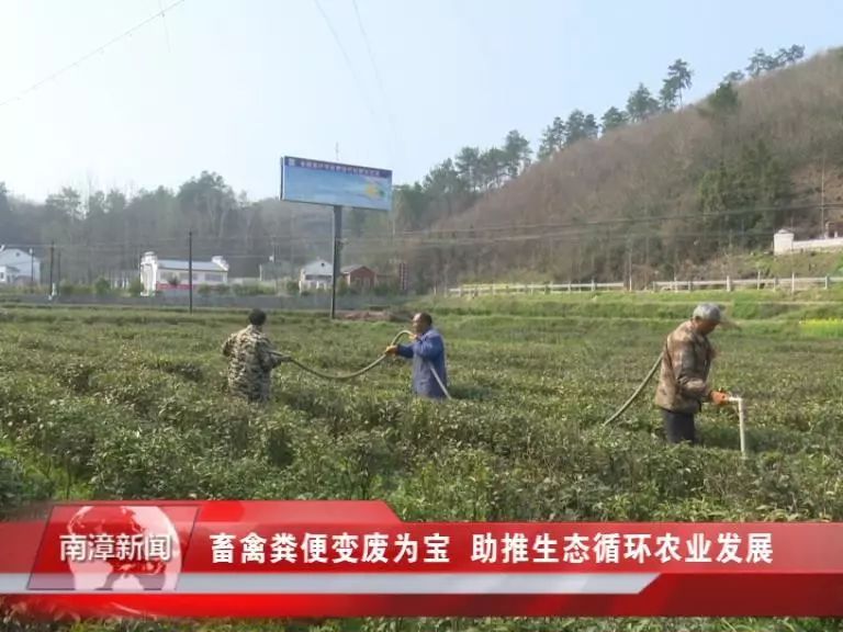 南漳最新新闻｜南漳新鲜资讯速递