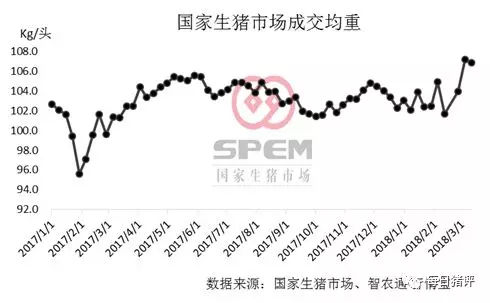 生猪市场动态解析与评估