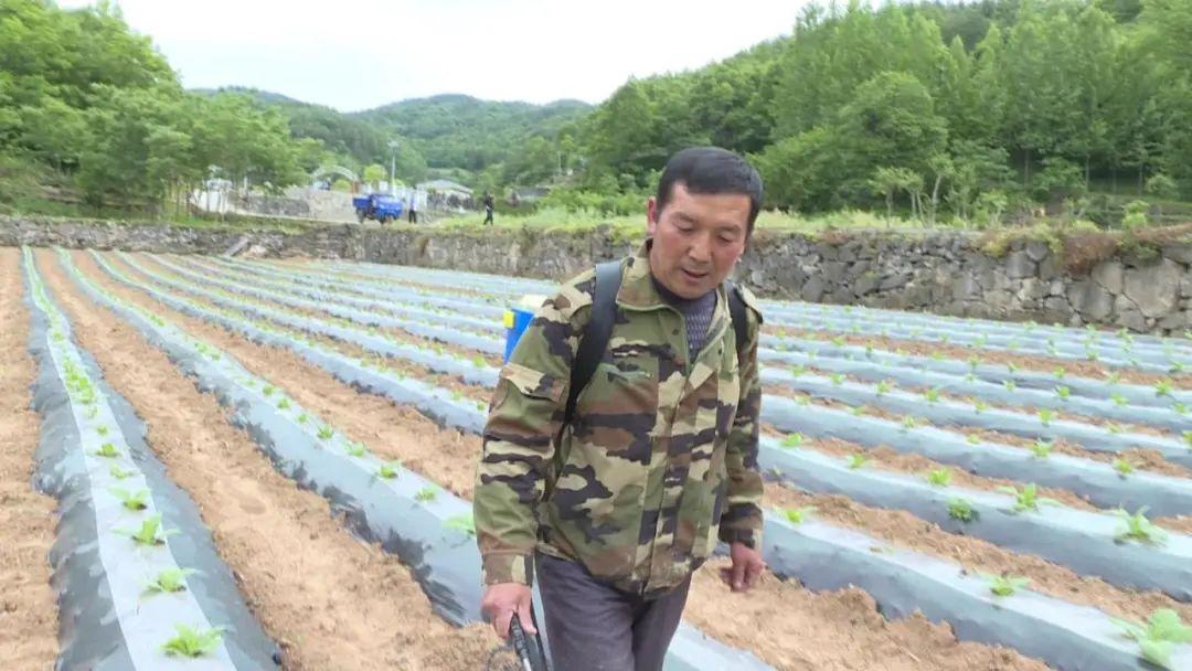 保康马良最新新闻｜保康马良新鲜资讯